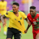 Leon Bailey Suspension