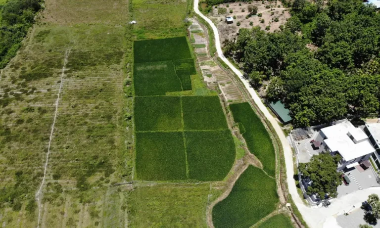 how to get land title Jamaica