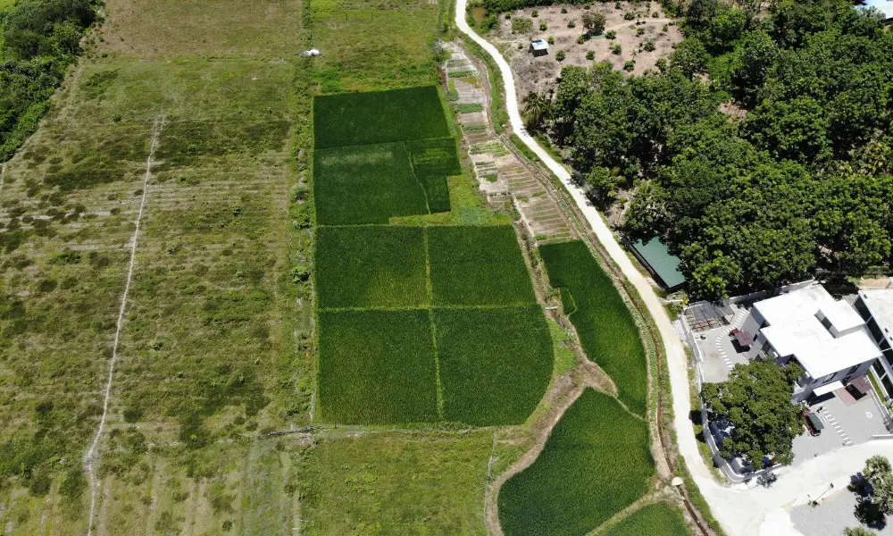 how to get land title Jamaica